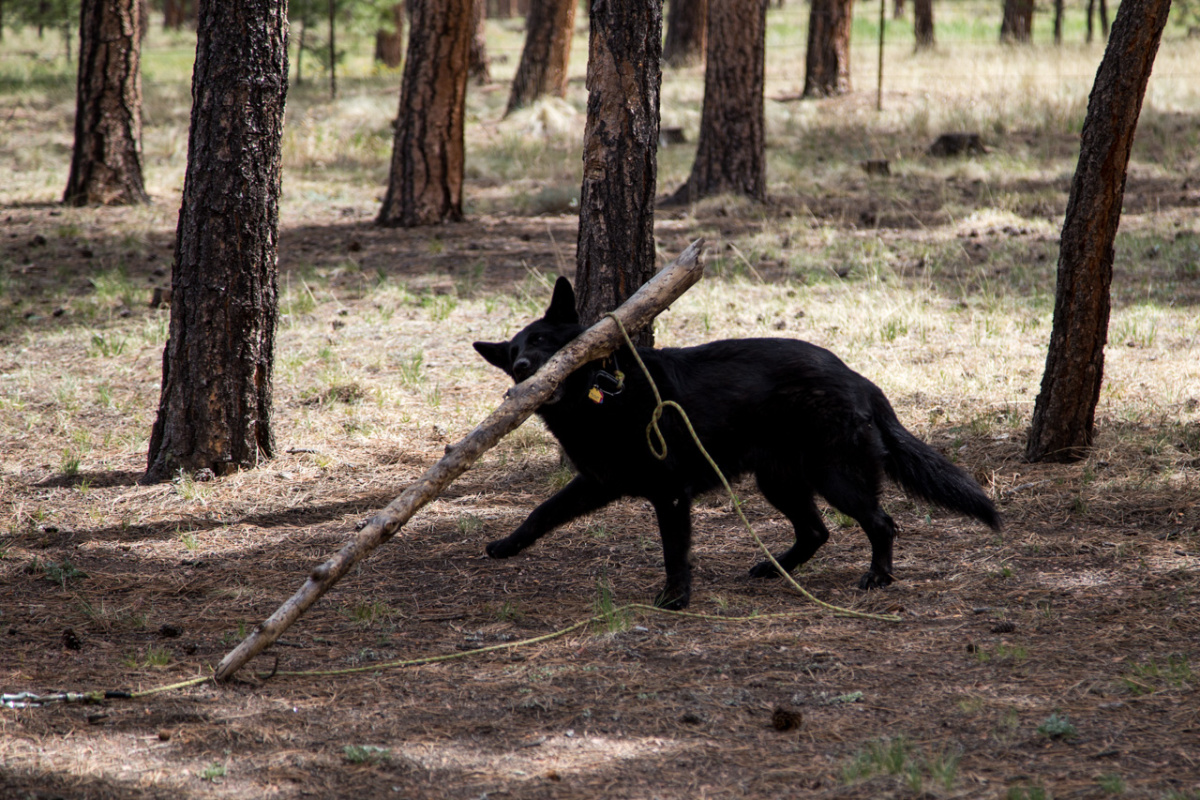 20180826093458-14d06adb