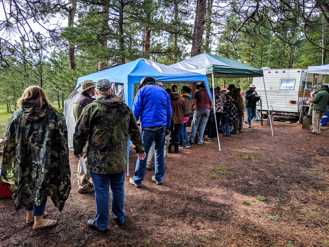 Field Day – June