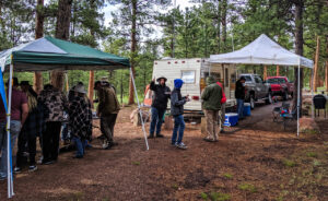 Field Day – June