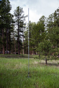 Field Day – June