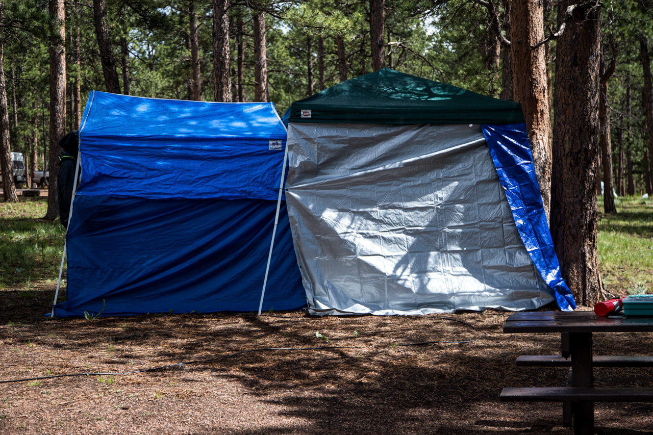 Field Day – June