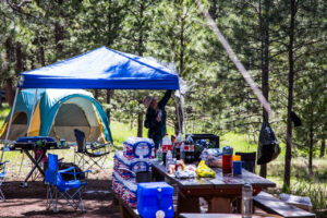 Field Day – June