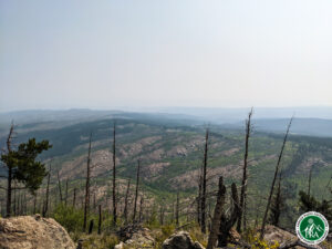 IMG_20200822_104533