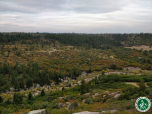 IMG_20200926_080127